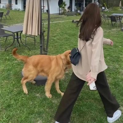 尖东毒玫瑰